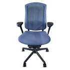 Herman Miller Celle Chair Fully Loaded