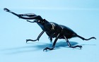 Bandai Diversity Of Life Beetle 01 Giraffe Stag Beetle Figure Us Seller New