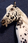 Breyer 2015 Breyerfest Haute Couture