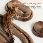 Cat Ball Adventure The Ultimate Interactive Mental   Physical Exercise For In   