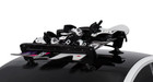 Seasucker Classic Ski And Snowboard Rack - We Take Offers