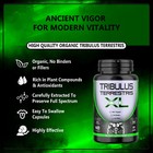 Tribulus Terrestris 180 Caps 96  Saponins 7500mg Organic Fitness Supplement