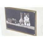 Kitten Antique Photo Greeting Card  Still Life Artistic Kitten Cat Card C1900