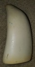 Vintage 595 Grams Artek Blank Reproduction Whale Replica Tooth