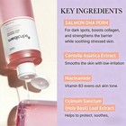 Affordable Glass Skin Set  8-piece Complete Routine For Luminous Glow