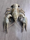 Taxidermy Lobster signal Crayfish Taxidermy  Cleaned   Filled Good Size