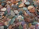 Flint Stone Handcrafted Arrow Head Native Natural Flint Bird Stone Lot Of 35