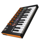 Arturia Minilab Mkii 25-key Usb Midi Controller Keyboard  orange Edition   