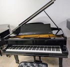 Fully Rebuilt  Beautiful Steinway And Sons Model B Piano