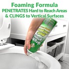 Simple Green All-purpose Foaming Aerosol Cleaner  20 Ounce  pack Of 2  