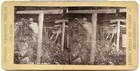 Coal Mining In Uk  A Fall Of Coal  Coal Miners 1890s Underground Mine E636a
