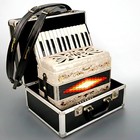 Rossetti 25-key 12 Bass Button Piano Accordion In Key Of G  White W  Case