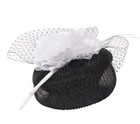 Something Special Sinamay Pill Box Fascinator With Mesh Netting   Quill   Flower