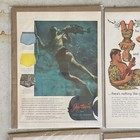 Jantzen 8 X Lot Vtg 1940s Big Print Ad Color Sunclothes Swim Suit Pinup Bikini B