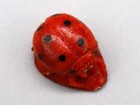 Florentino Martinez Apple Coral Zuni Ladybug Fetish
