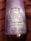 Wen By Chaz Dean Lavender Cleansing Conditioner Shampoo New Sealed 16 Fl Oz