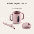 Silicone Training Sippy Cup Straw Handles Water Infant Toddler 6 Oz Blush