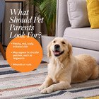 Clinical Care Antiseptic And Antifungal Medicated Shampoo For Dogs   Cats 16 Fl 