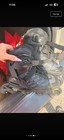 Roller Derby Avs Inline Roller Skates Black Sizes 7 8 10 Mpn 5073-4000524