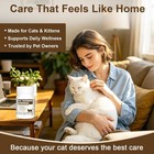 50 Tapeworm Dewormer  praziquantel Tablets  For Cats And Kittens 6 Weeks