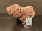 Ganz Webkinz Hm429 Wombat Plush Sealed Code Brown Stuffed Animal 9   