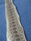 1 Rattlesnake Skin Piece Snake Skin Scraps Pen Blanks Small Wrap Education P4
