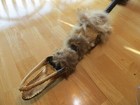 Seminole Native American Indian  rattle  Dance Wand Ceremonial Rattle