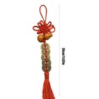Five Emperors Money Pendant 2025 Feng Shui Everyday Lucky Door Lucky Coin 