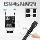Micnaux 4 Channel Audio Mixer  Karaoke Mixer With Dual Wireless Microphones     