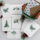 Beautiful Christmas Cards Set Of 20 With Watercolor Designs - Incl  Bulk Envelop