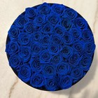 Uforever 40 Real Preserved Blue Roses In Suede Box 