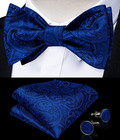 Men Bow Tie Paisley Striped Self-bow Tie For Men And Silk Woven Bowtie Pocket Sq