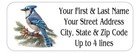 150 Blue Jay Bird Mailing Return Address Labels Personalized  1 X 2 5 8 In 