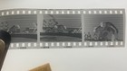 1977 B w 15 Press Negatives Wrestling Tournament Action Photo Images Coa Ooak