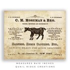 Vintage Horse Advertising Poster Art Print 8x10 Western Rodeo Home Wall Decor
