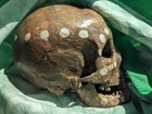 Ceremonial Tribal Tribe Anatomical Model Human Skull Study 