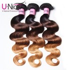 Unice 1-4 Bundles Brazilian Body Wave Human Hair Extensions Ombre 1b 4 27  1b Us