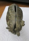 Antique A C Williams Cast Iron Buffalo Still Bank