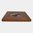 Ephraim Faience 2020 Hand Made Art Pottery Framed Moonlit Mission Bat Tile