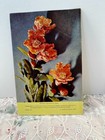 Vintage Glass Flowers In The Ware Collection 1963 Harvard University Booklet