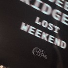 Phoebe Bridgers    long Weekend    Album Poster