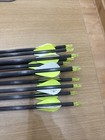 Gold Tip Hunter Xt 300