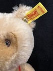 Vtg Jointed Mohair Steiff 9  Original Bear 0202 26 With Ear Button Tags  Austria