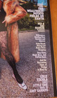 New York Magazine The Hamptons Issue  Artists  Towns  Cole Escola Summer 2025 Nf