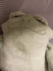 Woof And Poof Musical Wind Up Plush Frog 2001 Zippadee Doo Da W  Tags