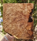 Maple Burl Block -  6 1 2    5 3 4    2 Inches  -  Fully Dry   Ready To Work With