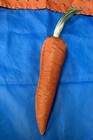 Artificial Fake Food Vegetable Carrot Display Stage Movie Prop Vcslk1