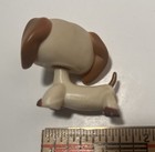 Lps  1491 Rare Hasbro Dachshund Dog Cream Blue Eyes - Littlest Pet Shop