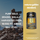 Pure Himalayan Shilajit Gummies Lab Tested  Usa Made - Blueberry Flavour
