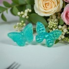Handmade Dual Crystal Butterfly Mold For Resin